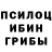 Галлюциногенные грибы мицелий Inna Vilgo