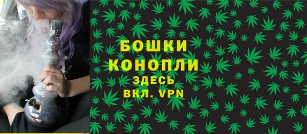 бутират Белокуриха