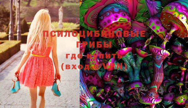 бутират Белокуриха