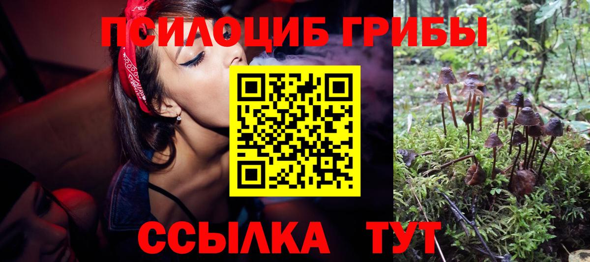Псилоцибиновые грибы мицелий  Вход с VPN  Верхний Уфалей  Галлюциногенные грибы мухоморы 